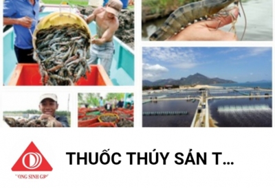 KÊNH MỚI: ZALO OFFICIAL-THUỐC THỦY SẢN TRƯỜNG SINH